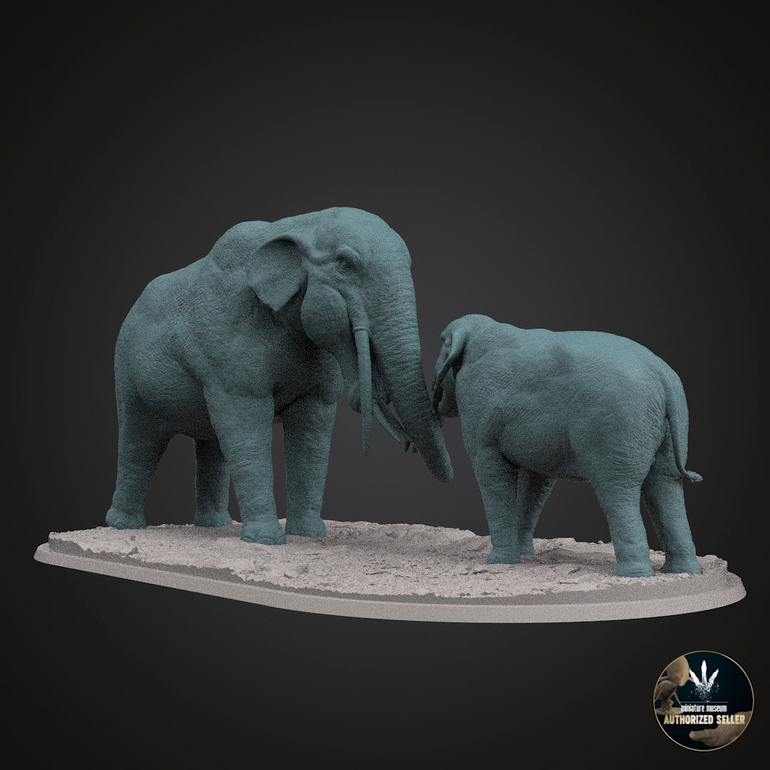 Stegotetrabelodon syrticus