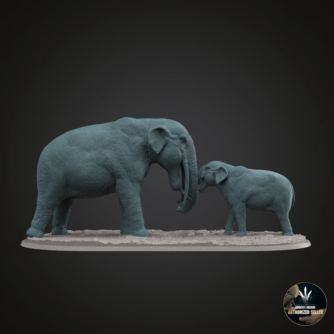 Stegotetrabelodon syrticus