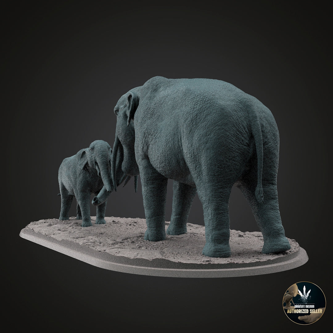 Stegotetrabelodon syrticus