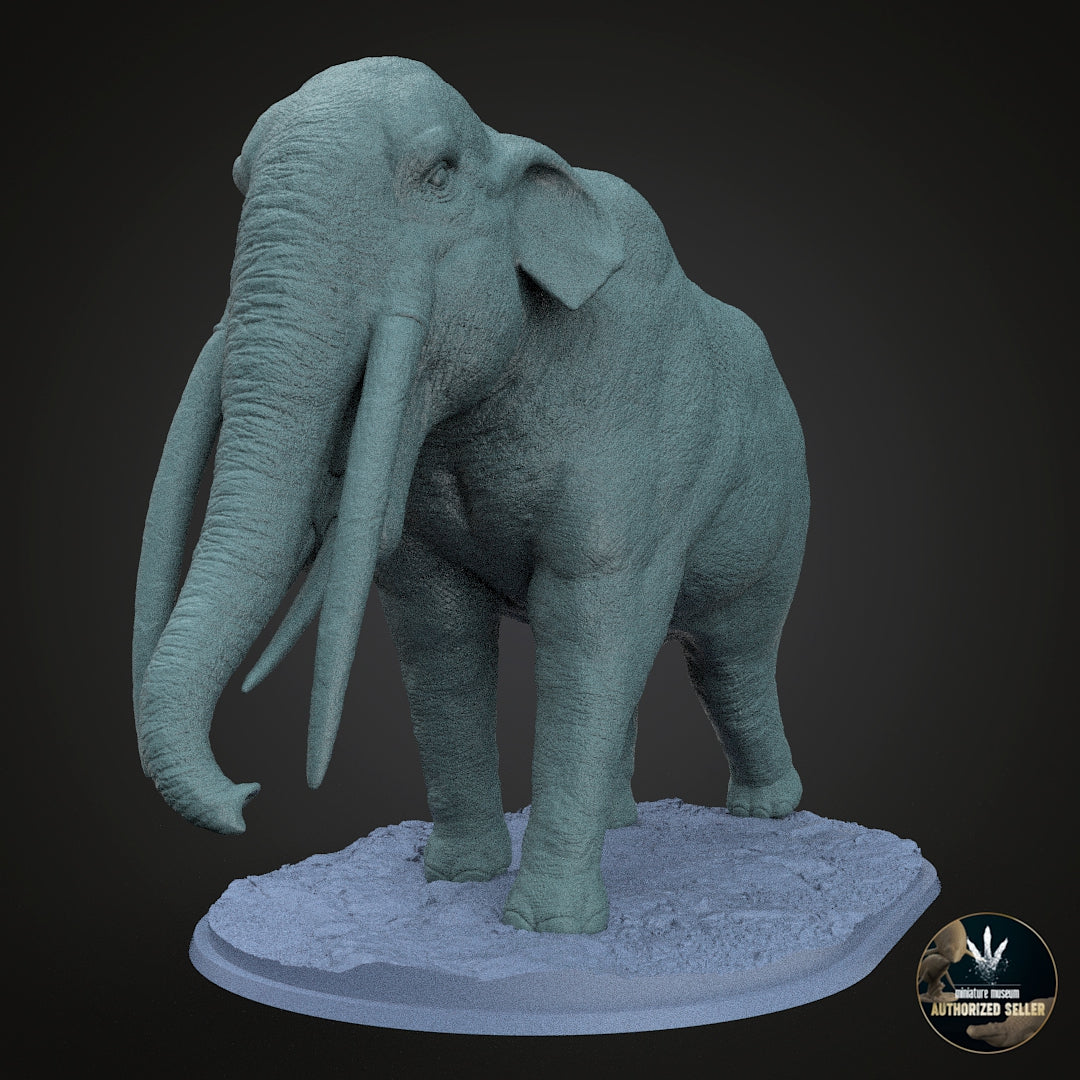Stegotetrabelodon syrticus