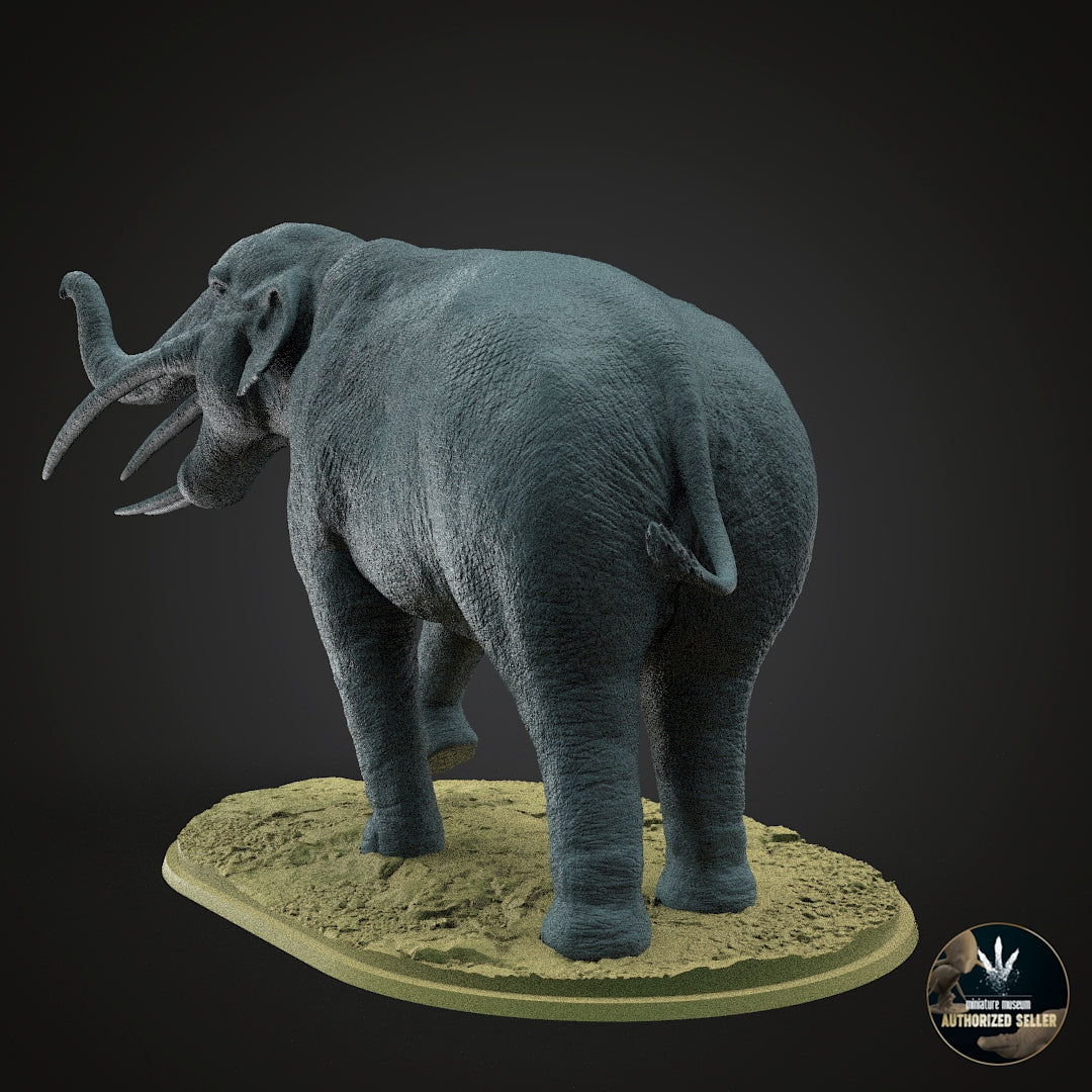 Stegotetrabelodon syrticus