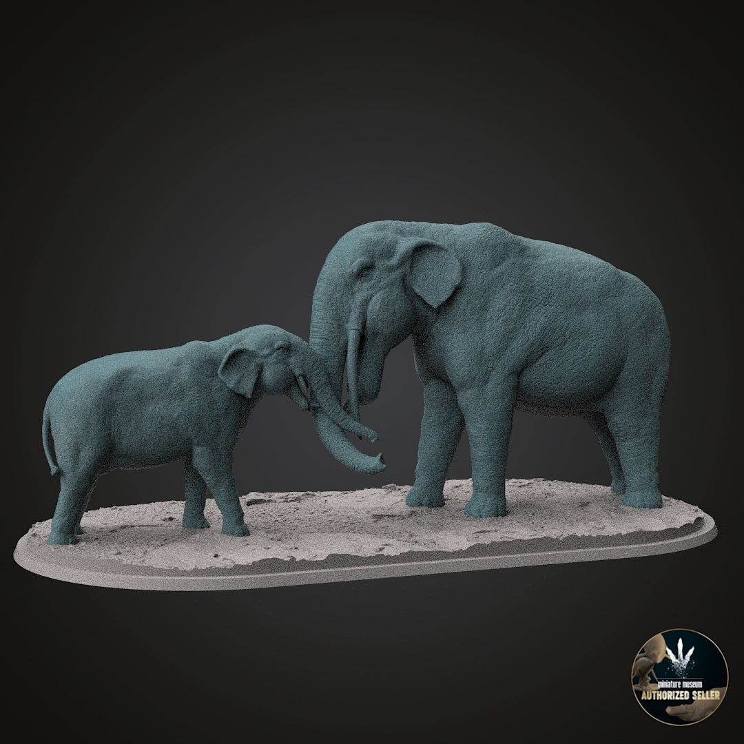Stegotetrabelodon syrticus