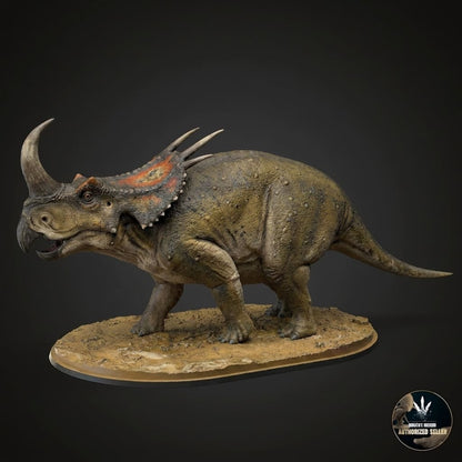Stellasaurus ancellae