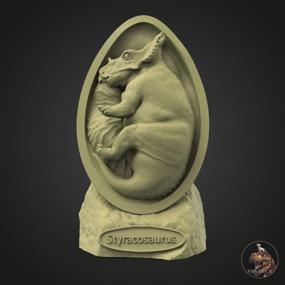 Styracosaurus embryo