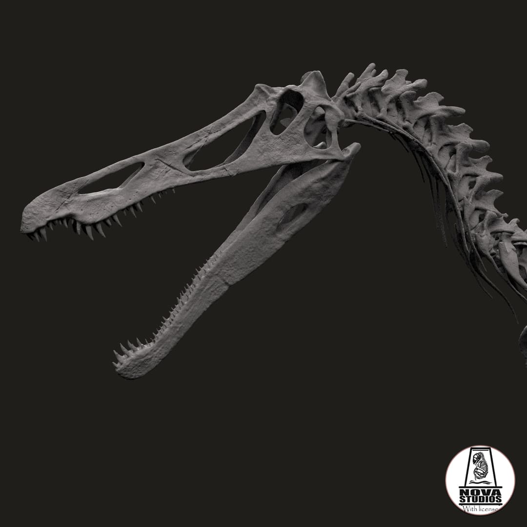 Suchomimus tenerensis