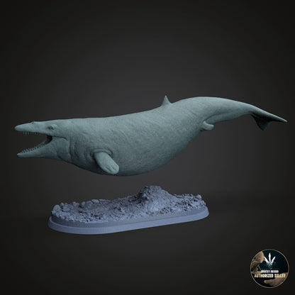 Supayacetus muizoni