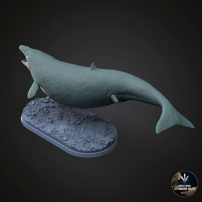 Supayacetus muizoni