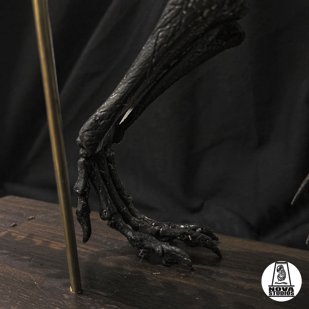 Therizinosaurus-Skelett