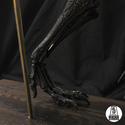 Therizinosaurus skeleton