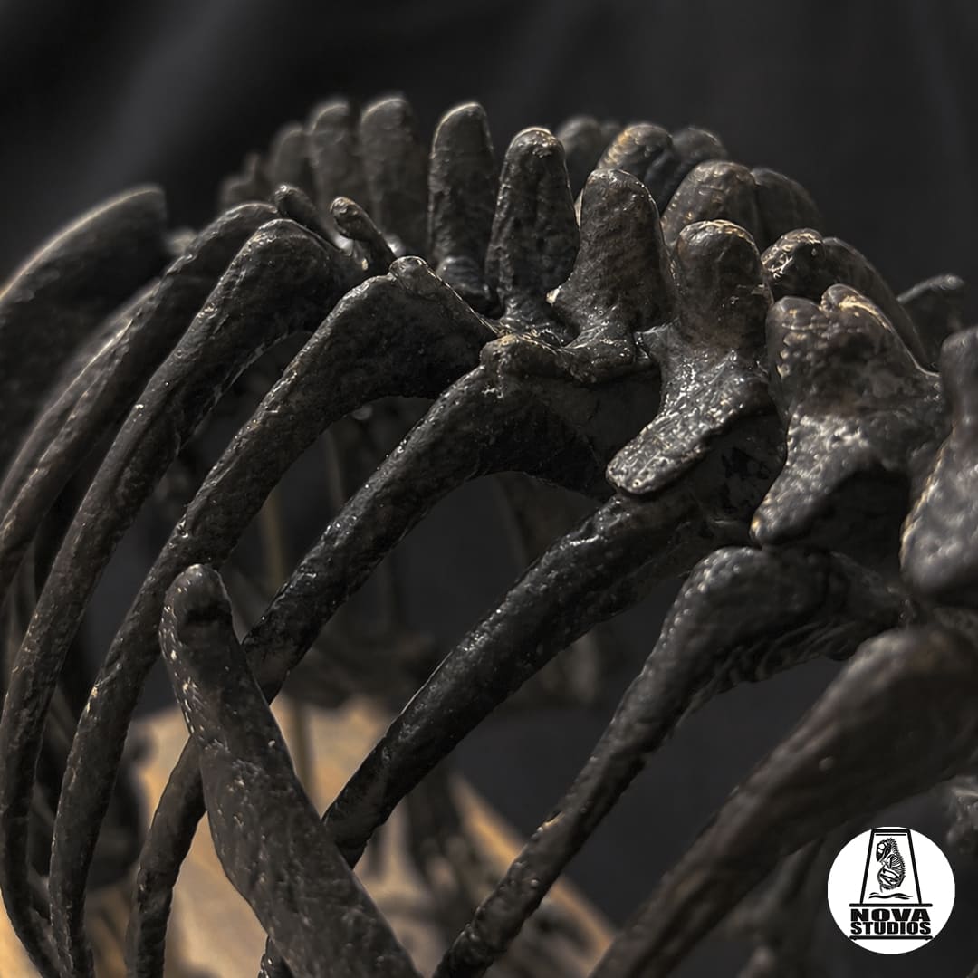 Therizinosaurus-Skelett