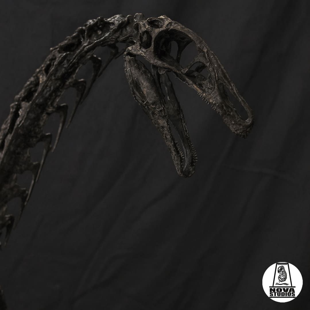 Therizinosaurus skeleton