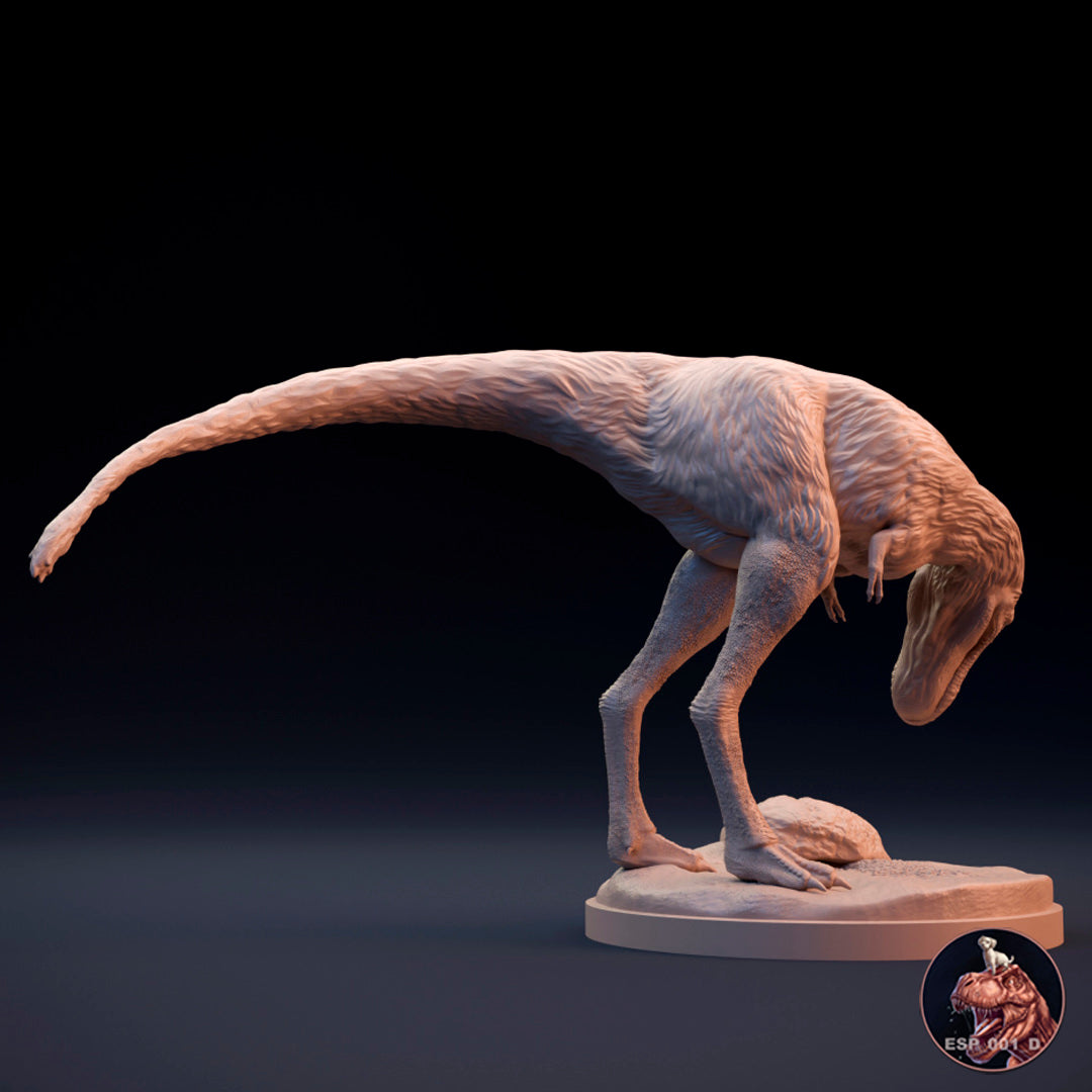 Tyrannosaurus Rex juvenile