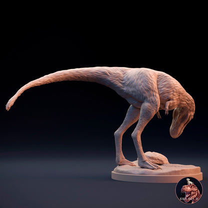 Jugendlicher Tyrannosaurus Rex