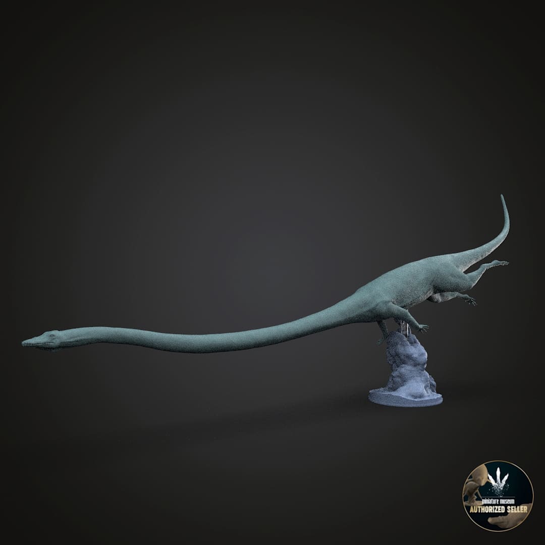 Tanystropheus longobardicus