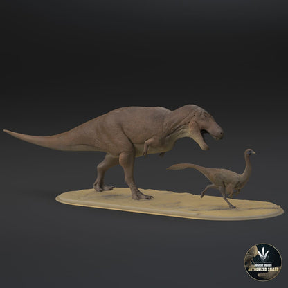 Tarbosaurus bataar / Gallimimus