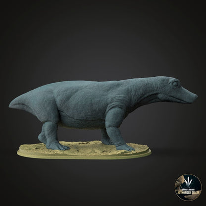 Tetracynodon tenuis