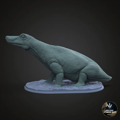 Tetracynodon tenuis