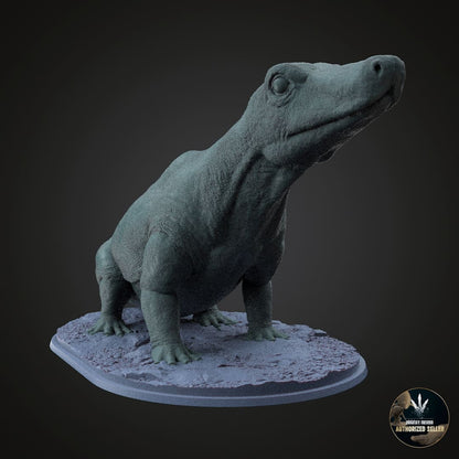 Tetracynodon tenuis