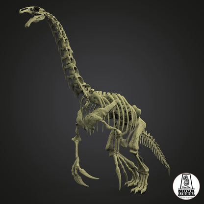 Therizinosaurus-Skelett