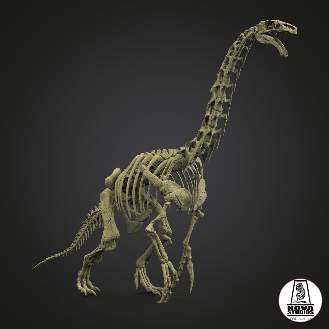 Therizinosaurus-Skelett