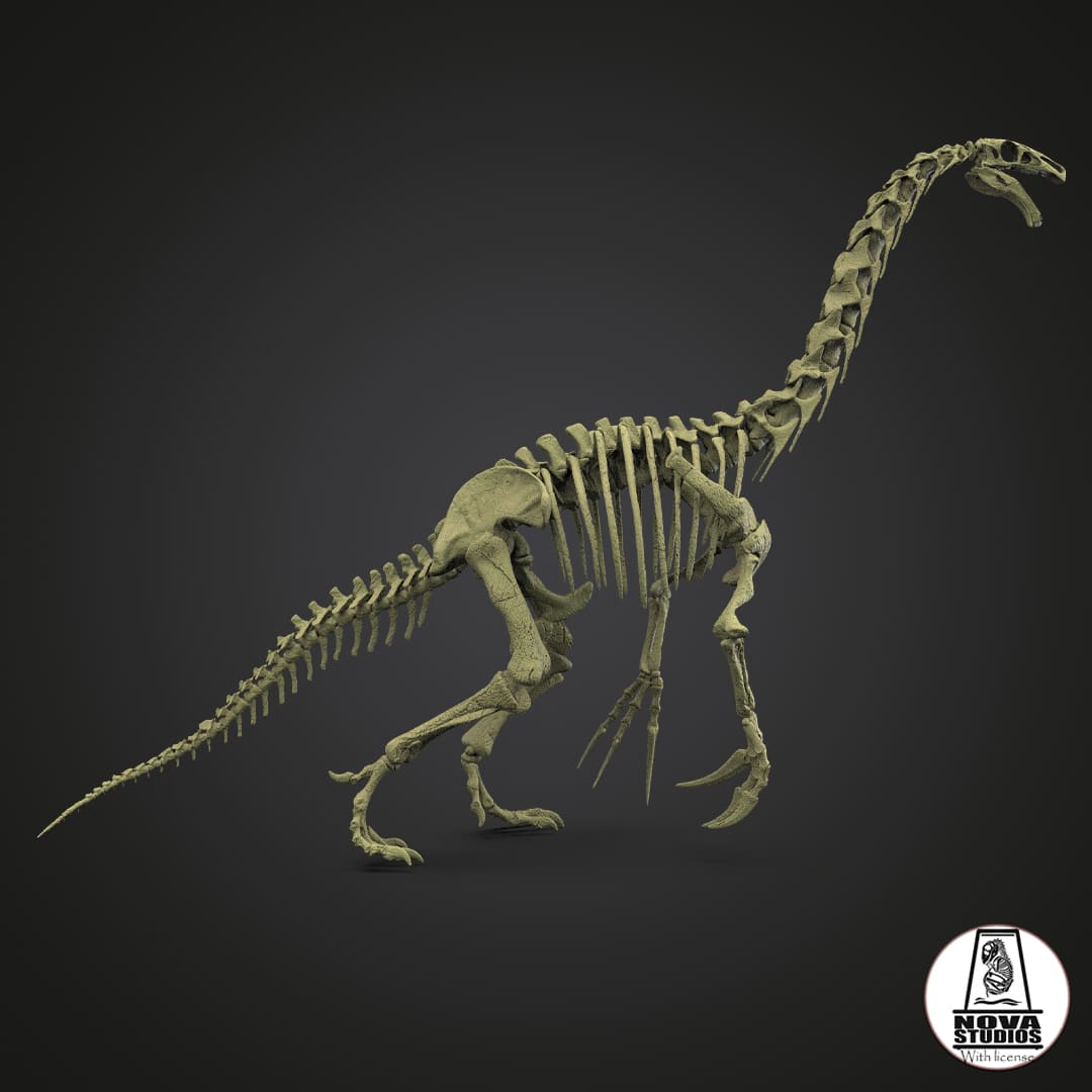 Therizinosaurus skeleton