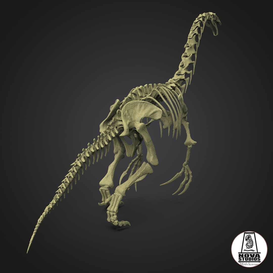 Therizinosaurus skeleton