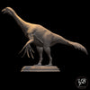 Therizinosaurus cheloniformis