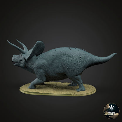 Torosaurus latus