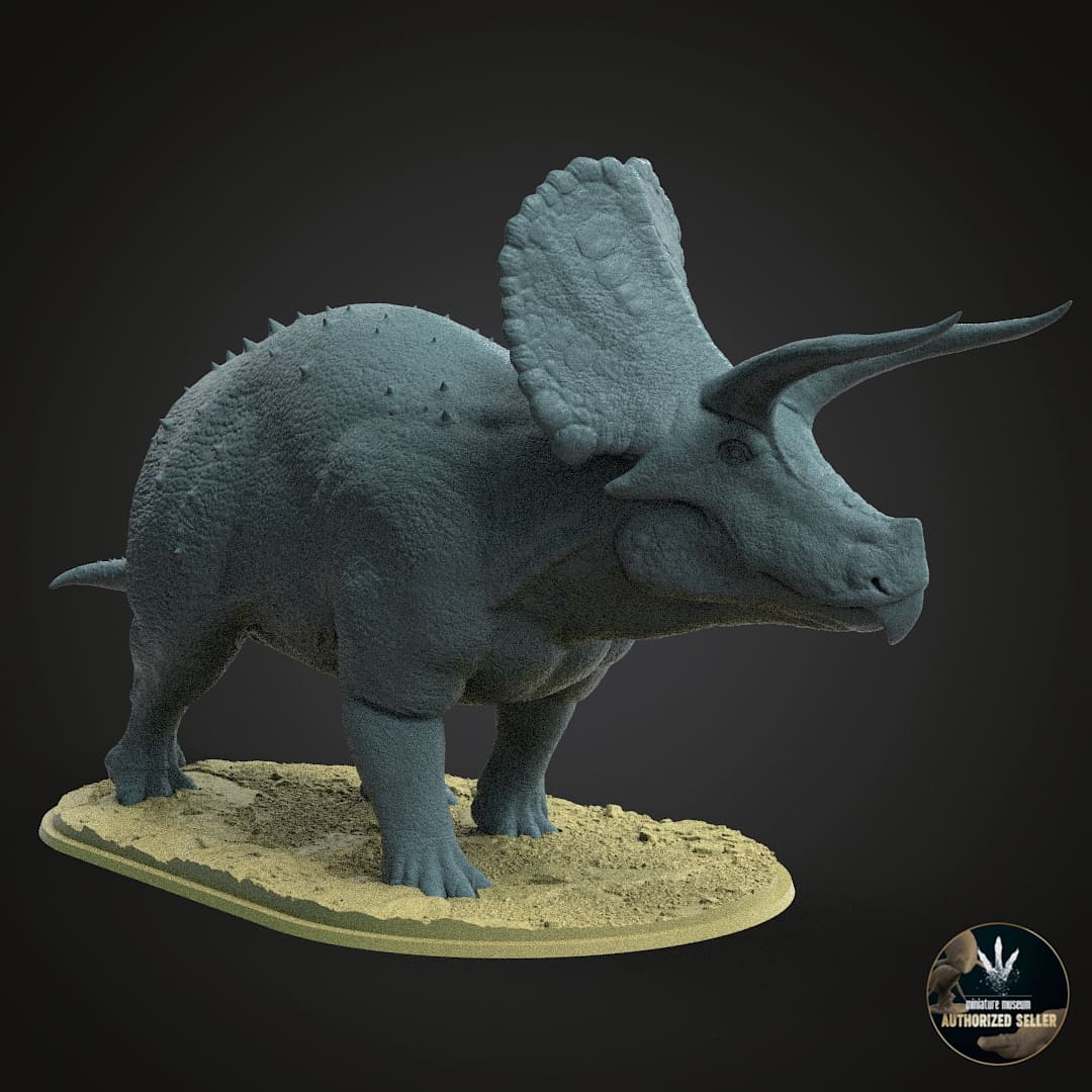 Torosaurus latus