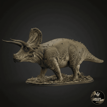 Torosaurus latus