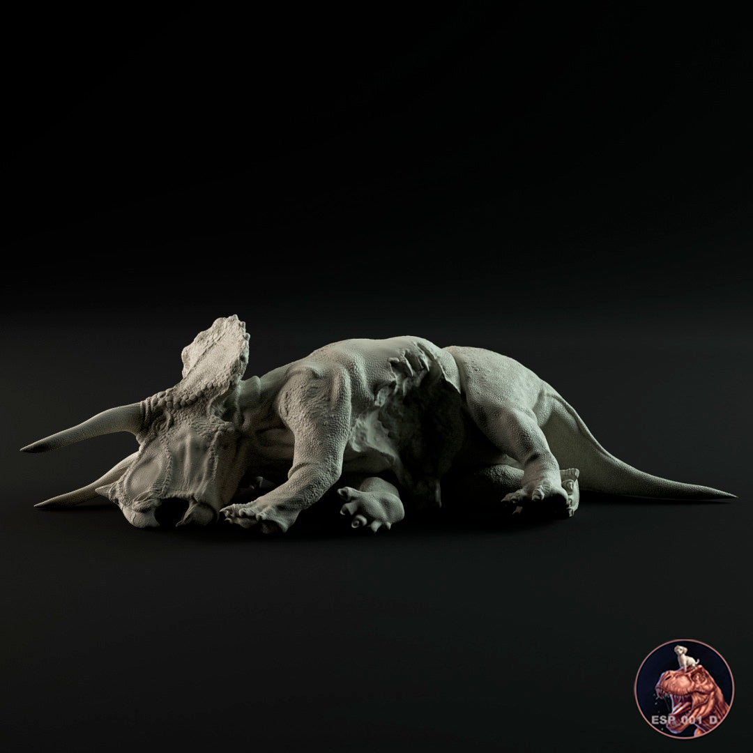 Triceratops dead