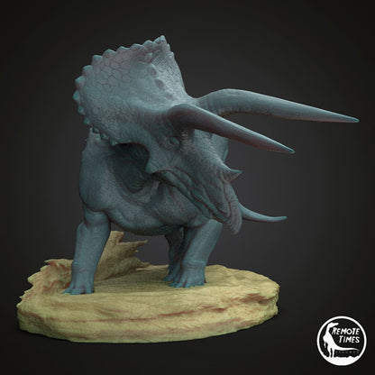 Triceratops horridus