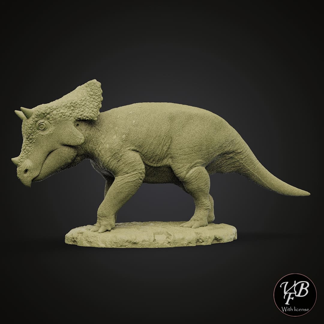 Triceratops (Calf)