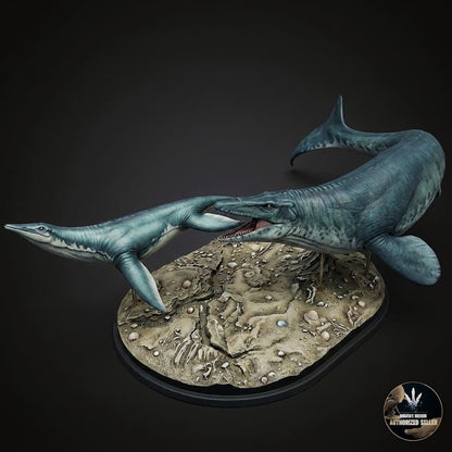 Tylosaurus proriger / Dolichorhynchops osborni
