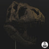 Tyrannosaurus rex skull `Maximus´