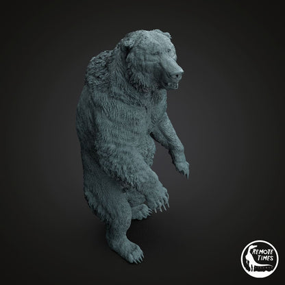 Ursus spelaeus