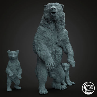Ursus spelaeus