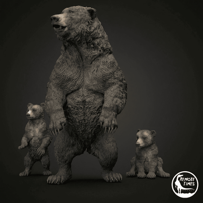 Ursus spelaeus