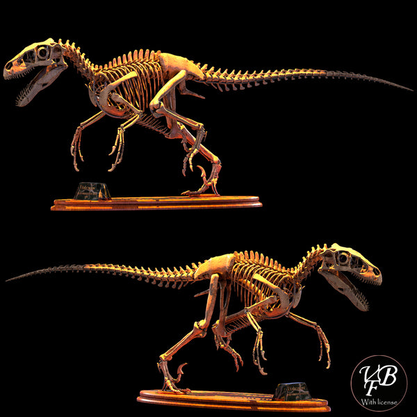 Skeleton Raptor Ark Utahraptor Skeleton Head