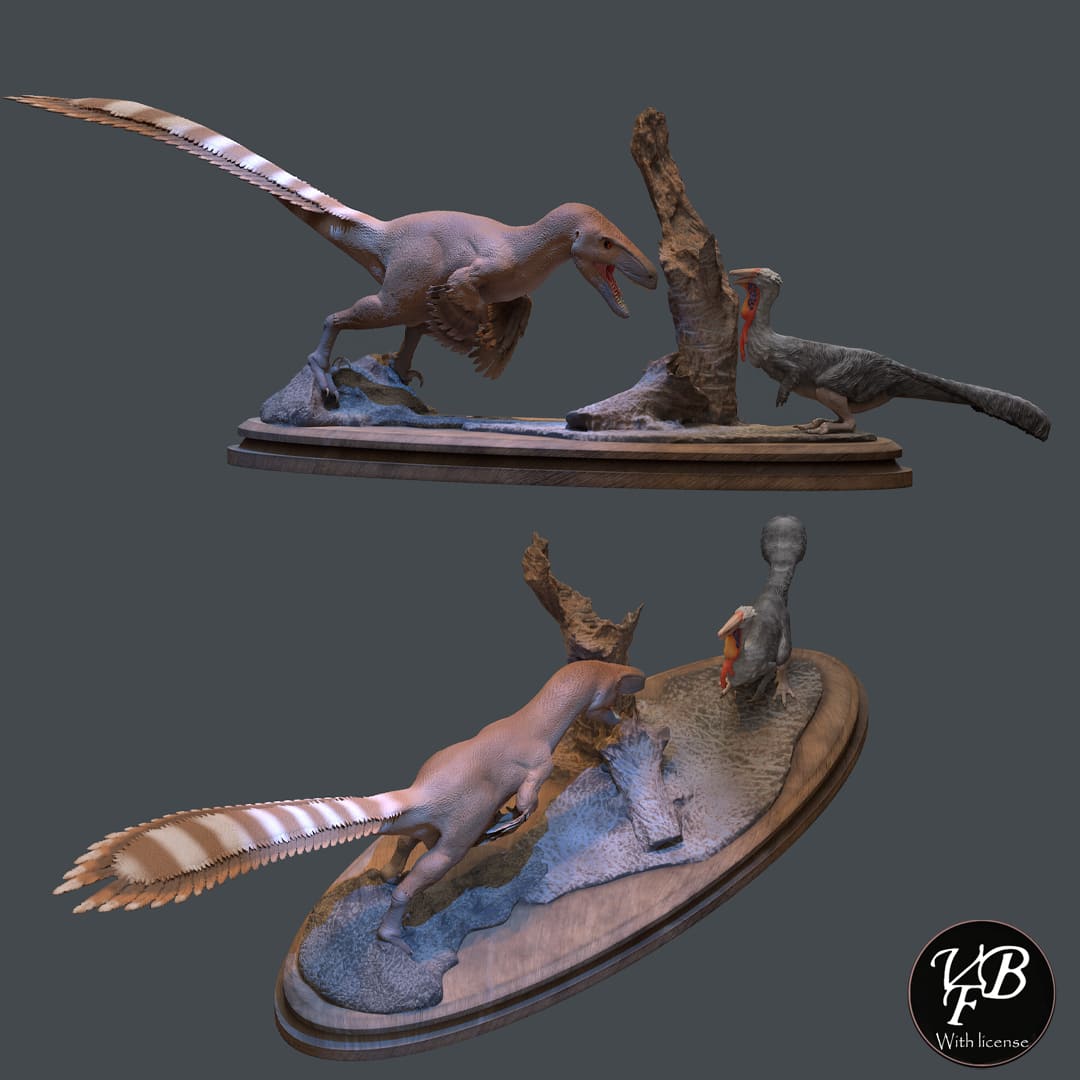 Utahraptor ostrommaysorum / Nedcolbertia justinhoffmanii – Dinosauria ...