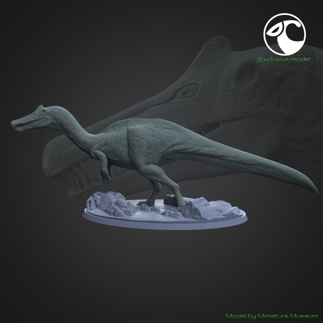 Vallibonavenatrix cani