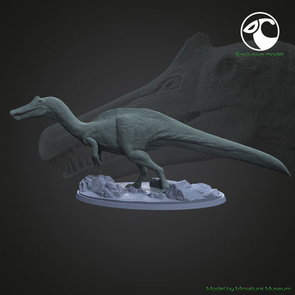 Vallibonavenatrix cani