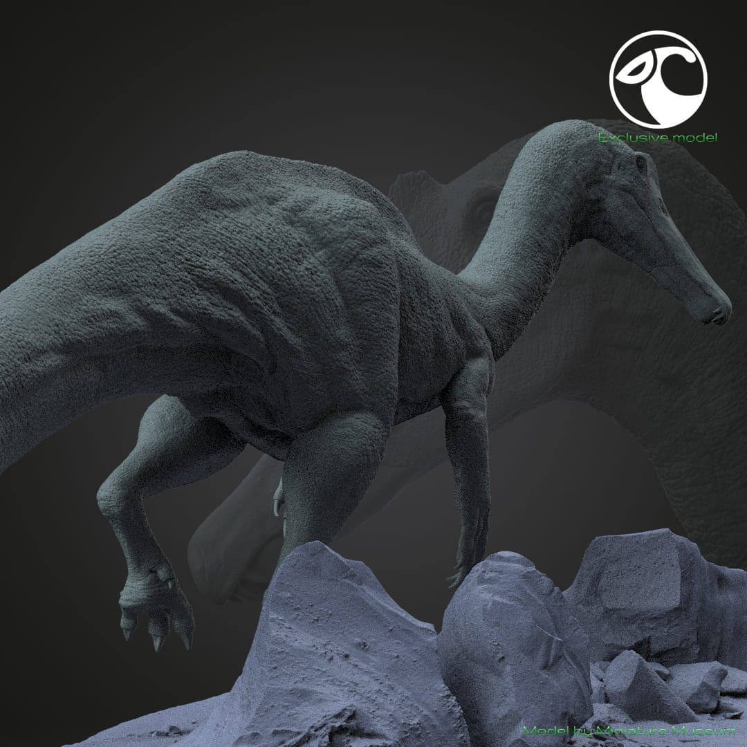 Vallibonavenatrix cani