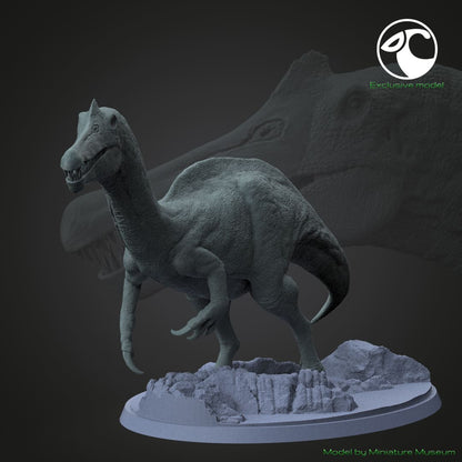 Vallibonavenatrix cani