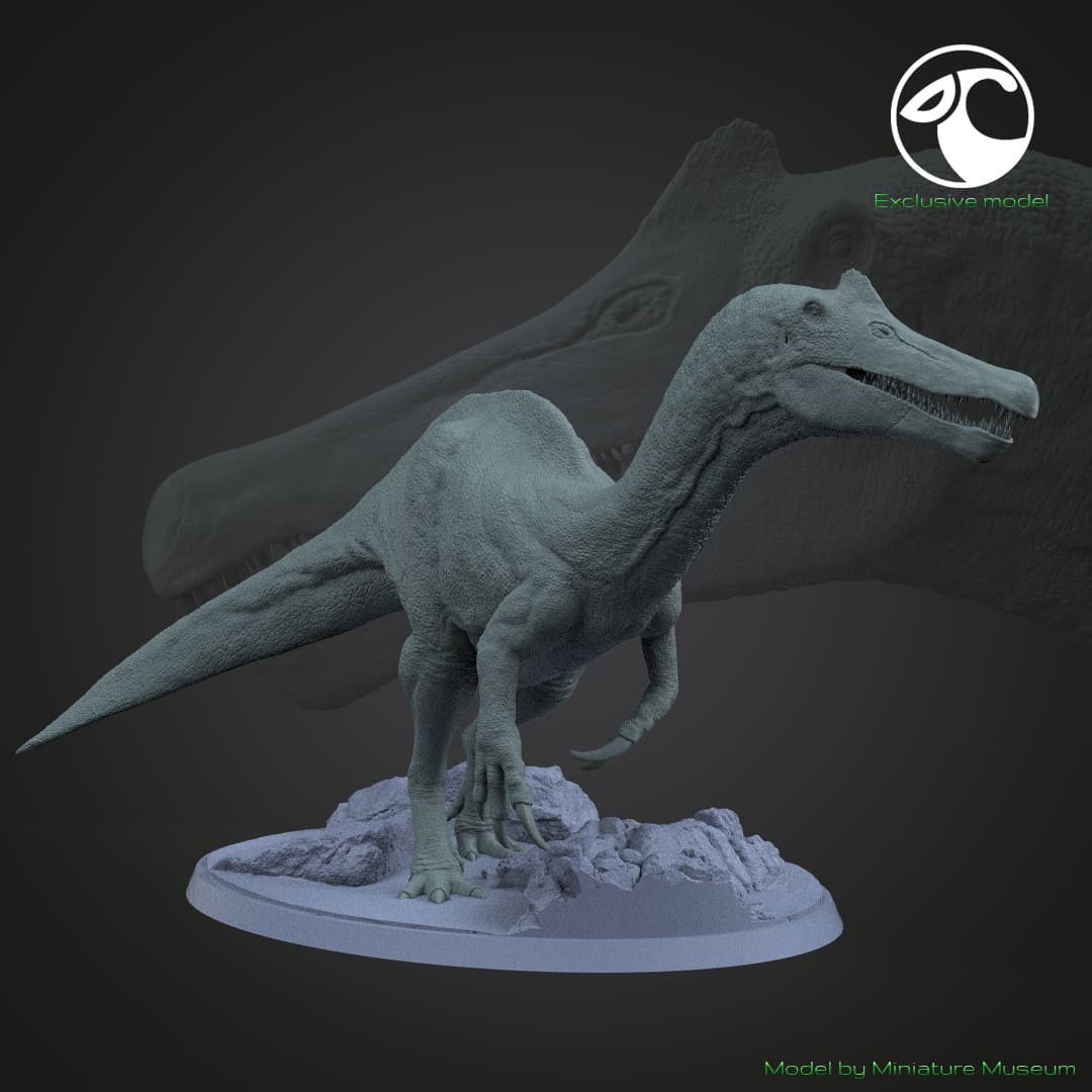 Vallibonavenatrix cani