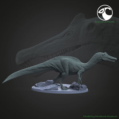 Vallibonavenatrix cani