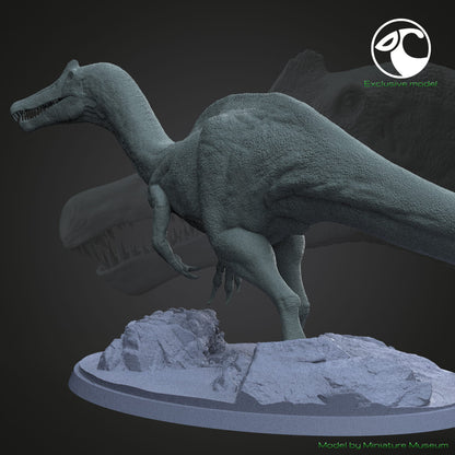 Vallibonavenatrix cani