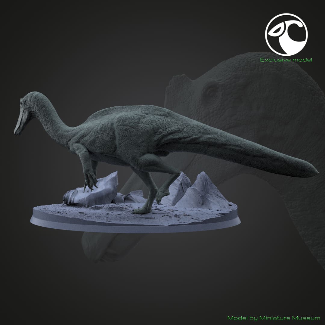 Vallibonavenatrix cani