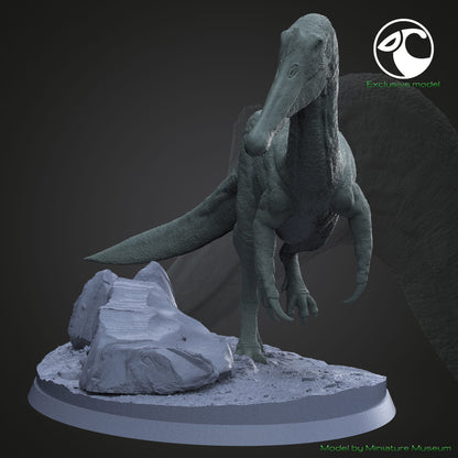 Vallibonavenatrix cani