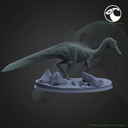 Vallibonavenatrix cani